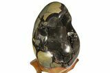 Septarian Dragon Egg Geode - Black Crystals #158339-2